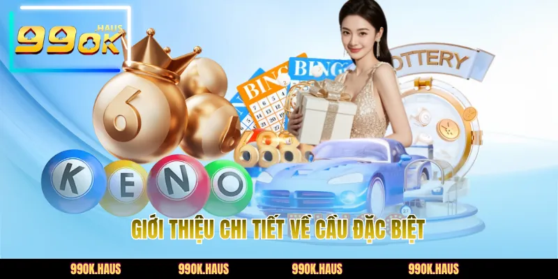 Giới thiệu chi tiết về cầu đặc biệt